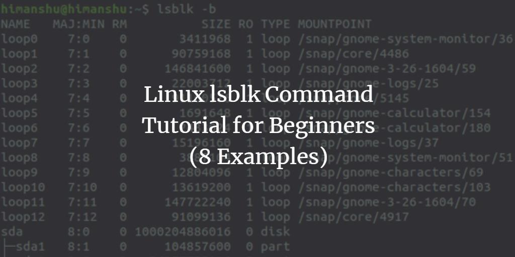 Linux lsblk Command Tutorial for Beginners (8 Examples)