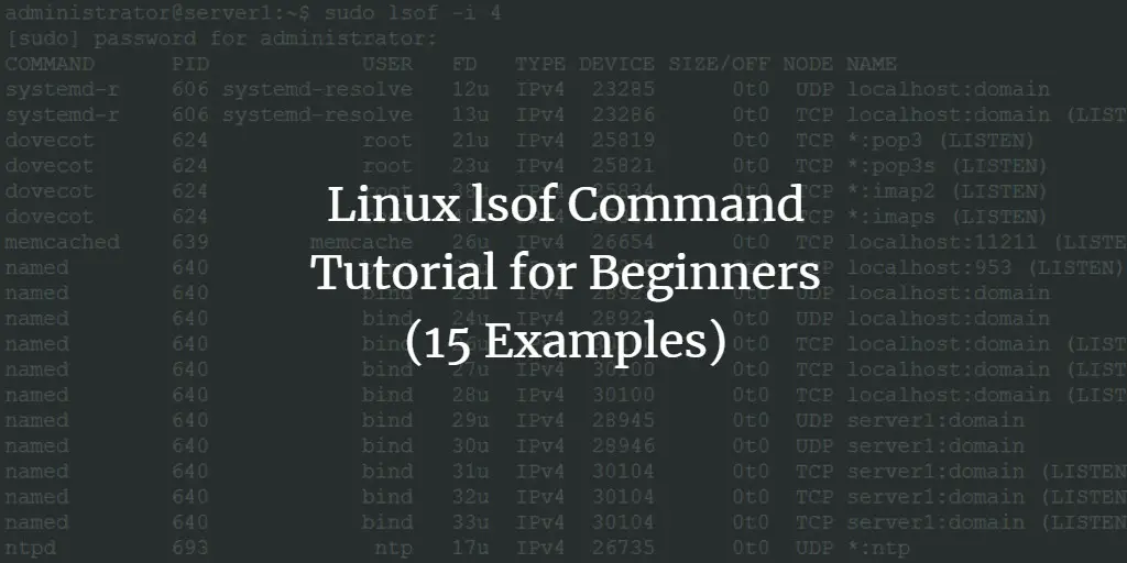 Linux lsof Command Tutorial for Beginners (15 Examples)