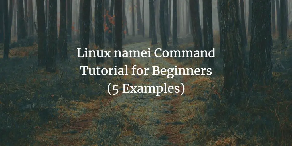 Linux namei Command Tutorial for Beginners (5 Examples)