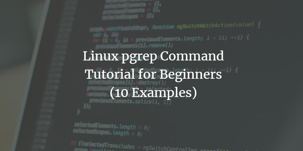 Linux pgrep Command Tutorial for Beginners (10 Examples)