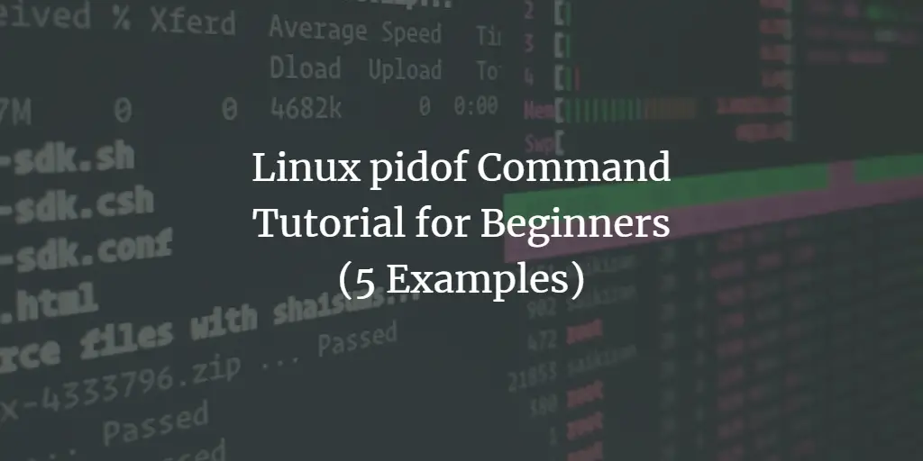 Linux pidof Command Tutorial for Beginners (5 Examples)