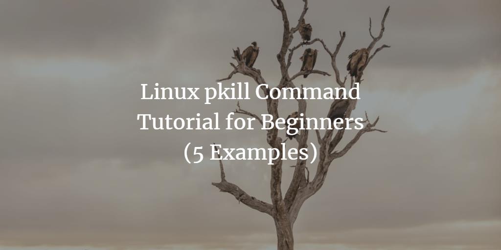Linux pkill Command Tutorial for Beginners (5 Examples)