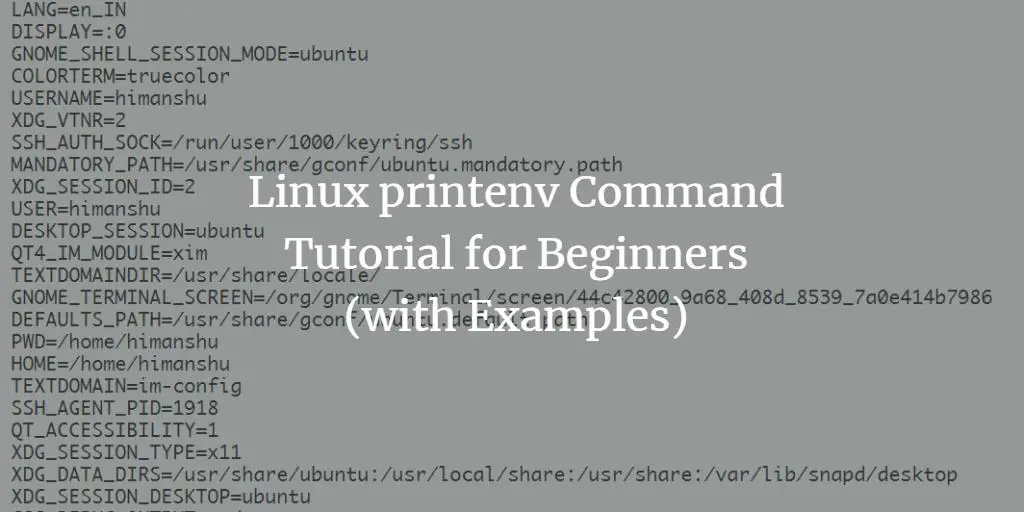 Linux printenv Command Tutorial for Beginners (with Examples)