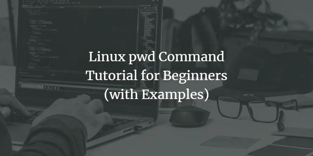 Linux pwd Command Tutorial for Beginners (with Examples)