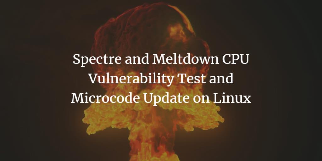 Spectre and Meltdown CPU Vulnerability Test and Microcode Update on Linux