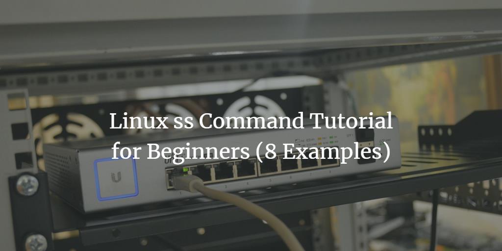 Linux ss Command Tutorial for Beginners (8 Examples)