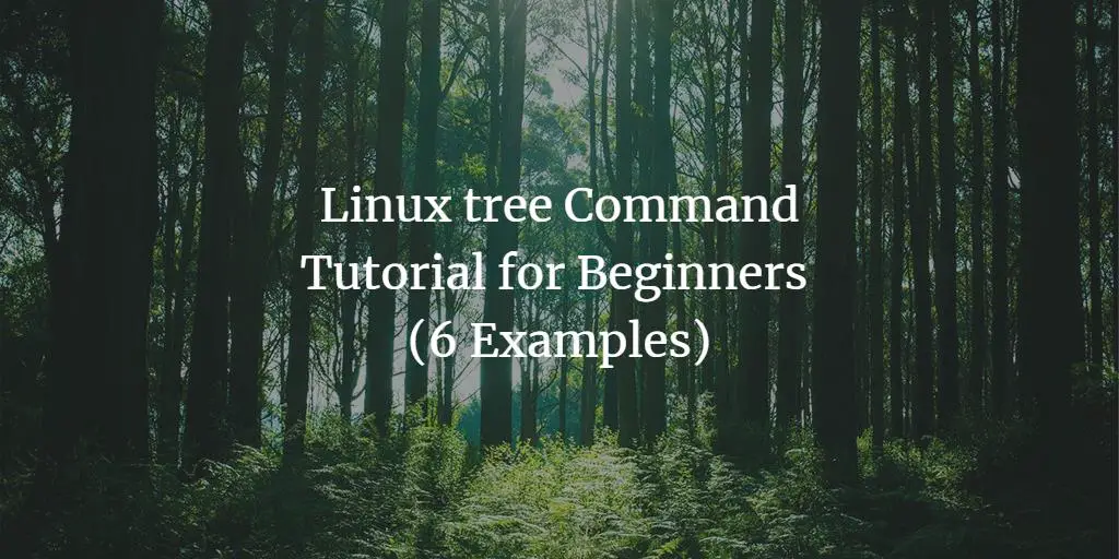 Linux tree Command Tutorial for Beginners (6 Examples)