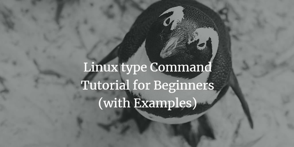 Linux type Command Tutorial for Beginners (with Examples)