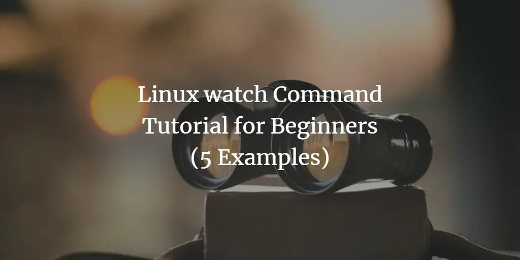 Linux watch Command Tutorial for Beginners (5 Examples)
