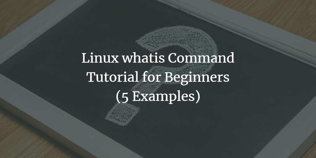 Linux whatis Command Tutorial for Beginners (5 Examples)