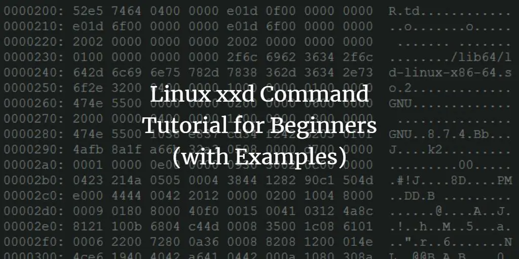 Linux xxd Command Tutorial for Beginners (with Examples)
