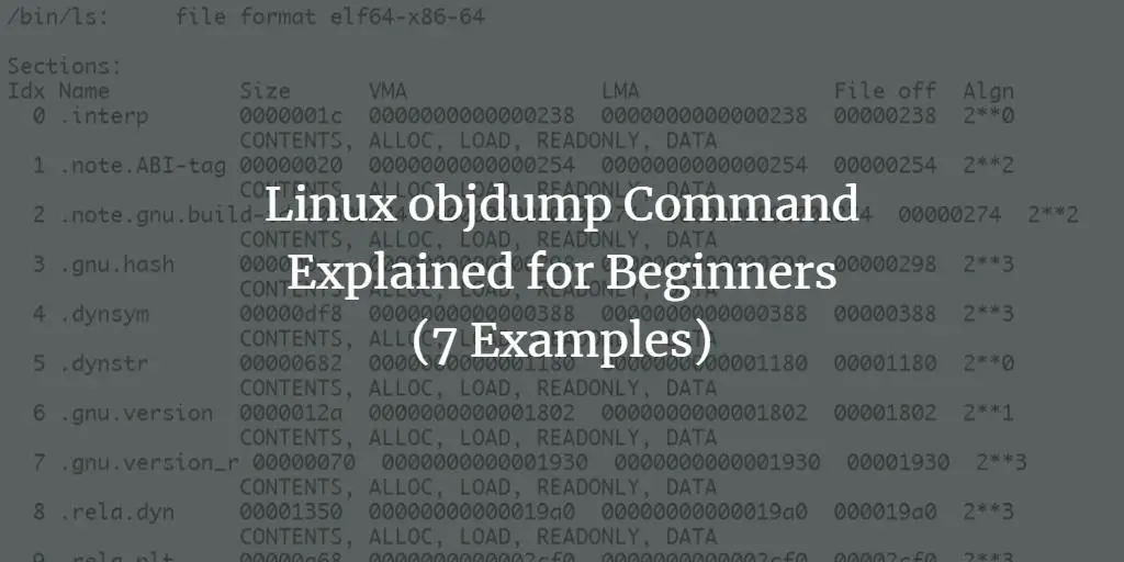 Linux objdump Command Explained for Beginners (7 Examples)