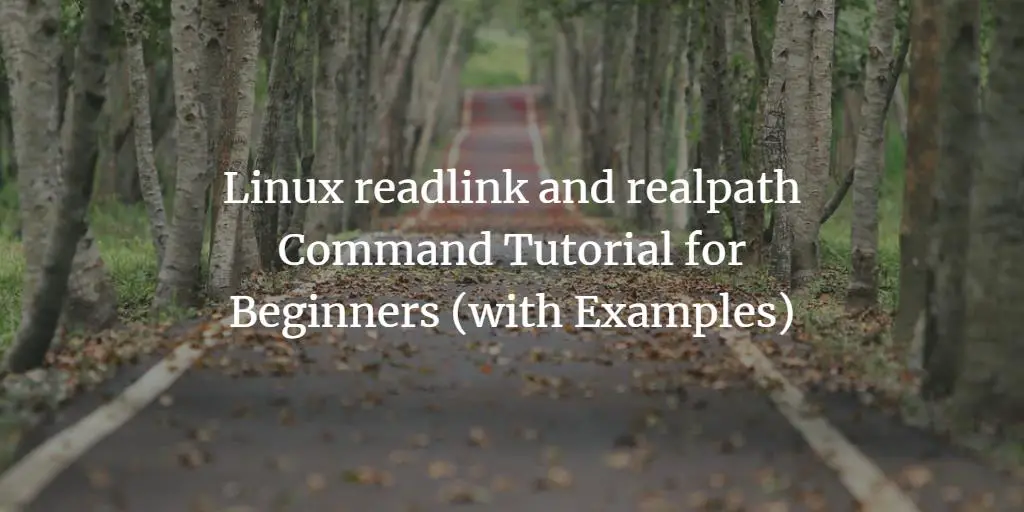 Linux readlink and realpath Command Tutorial for Beginners (with Examples)