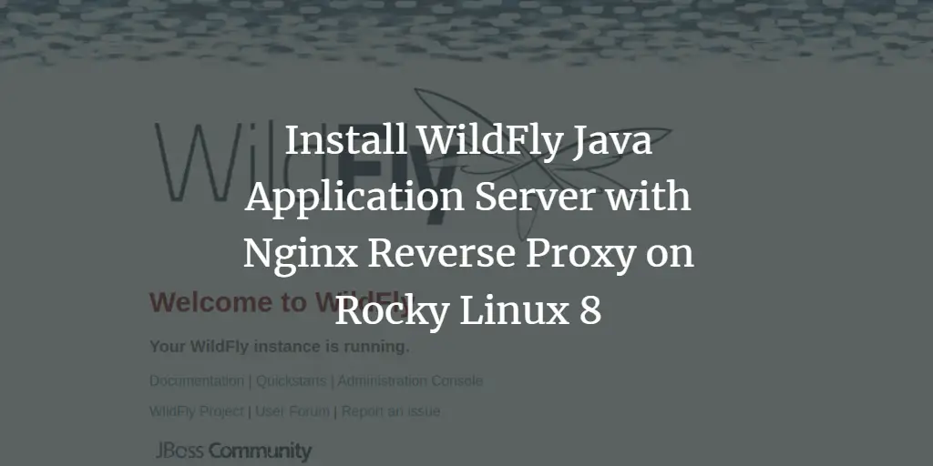 Install WildFly Java Application Server with Nginx Reverse Proxy on Rocky Linux 8