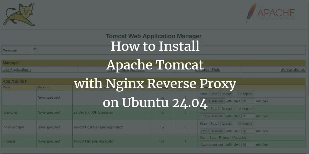 How to Install Apache Tomcat with Nginx Reverse Proxy on Ubuntu 24.04