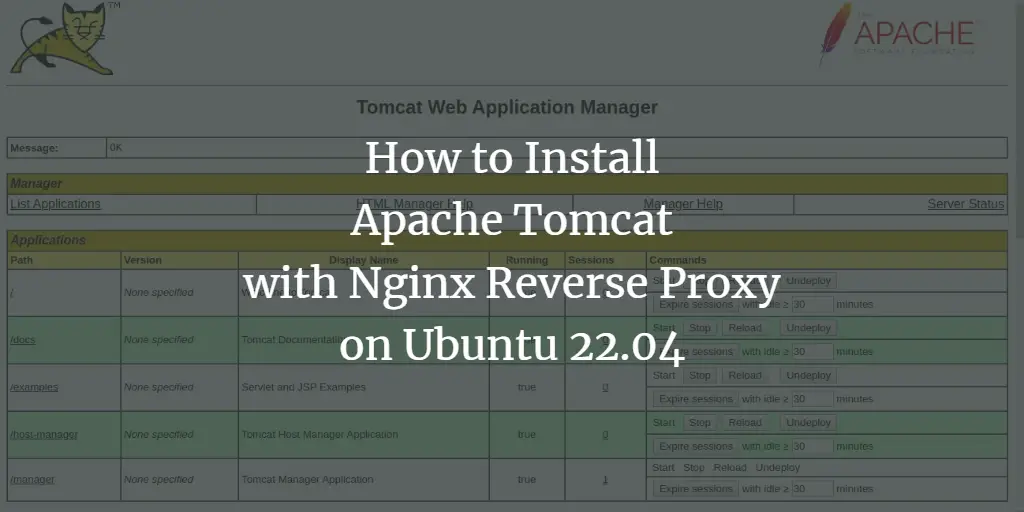 How to Install Apache Tomcat with Nginx Reverse Proxy on Ubuntu 22.04