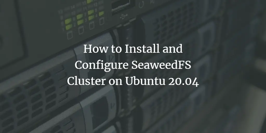 How to Install and Configure SeaweedFS Cluster on Ubuntu 20.04