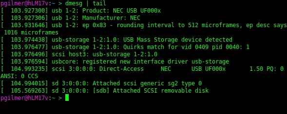 dmesg command output