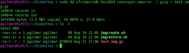 dd and gzip in one command