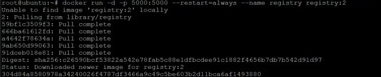 a local and private registry