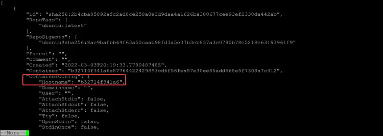 docker inspect command 