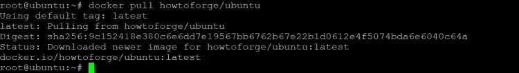 download the latest ubuntu image from your Docker Hub.
