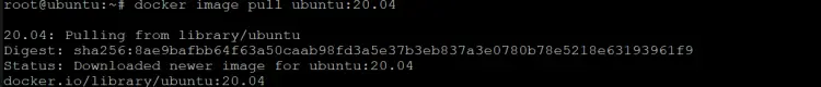  download the ubuntu image with the tag 20.04