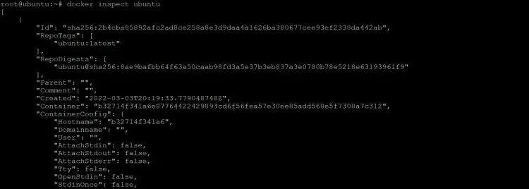 Inspecting Docker Images