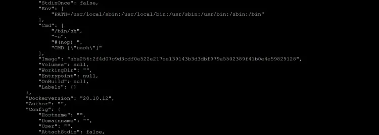 Inspecting Docker Images