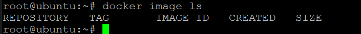  List the images on your host again