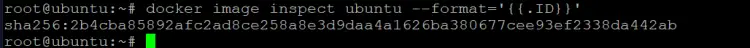 print out the ID of the ubuntu image