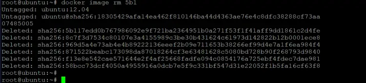 remove the ubuntu:12.04 image