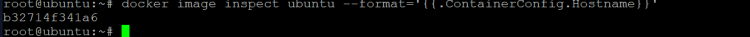 the host name value