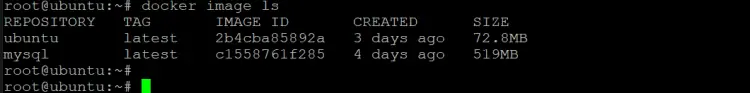 verify that the ubuntu:12.04 image is no longer listed.