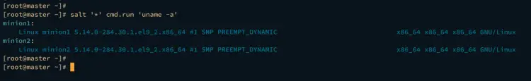 running linux command via salt