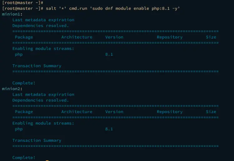 enable repo module via salt