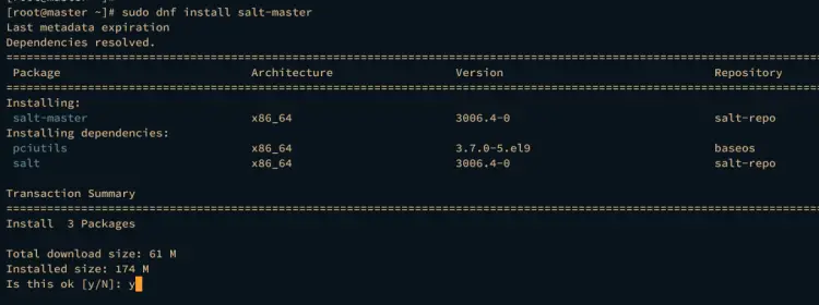 install salt-master
