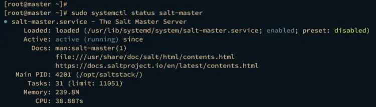 check salt-master