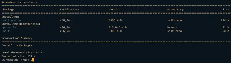 install salt-minion