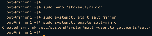 start enable salt-minion