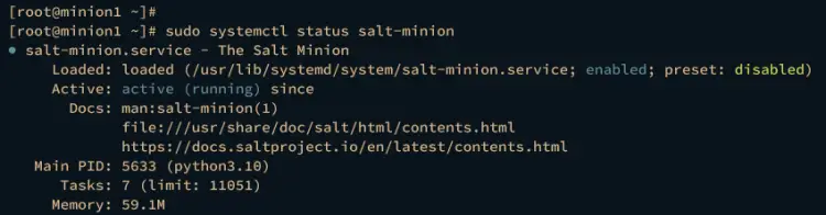 check salt-minion