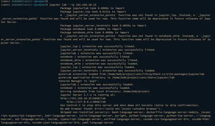 run jupyterlab
