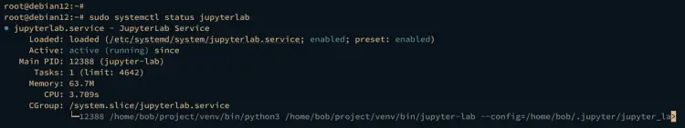 checking jupyterlab service