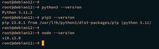 check python pip node.js