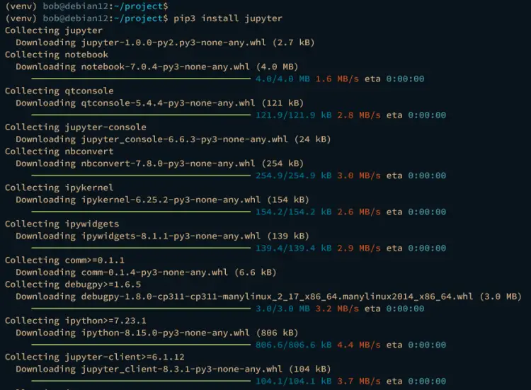 install jupyter