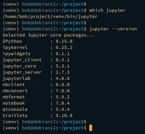 check jupyter