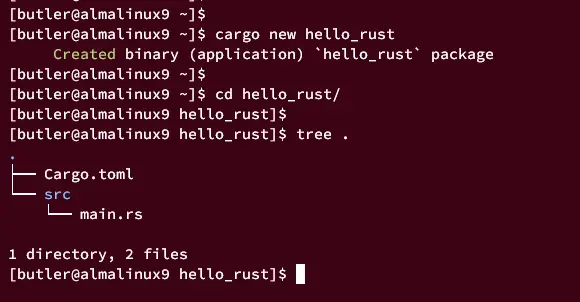 create project with rust