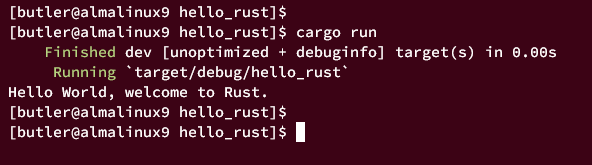 run project rust