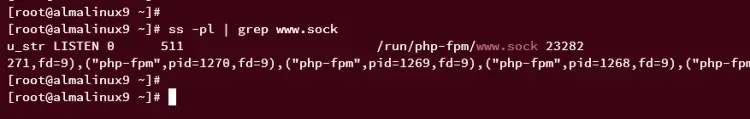 check php-fpm sock