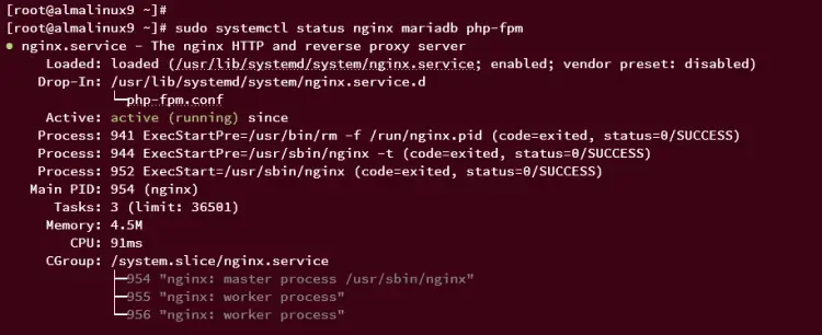 verify services